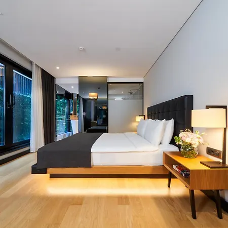 Metropolitan Bosphorus - Special Category 4* Istanbulská provincie