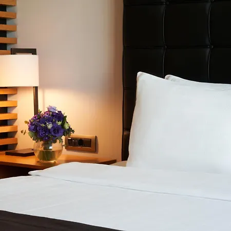 Metropolitan Bosphorus - Special Category 4* Istanbulská provincie