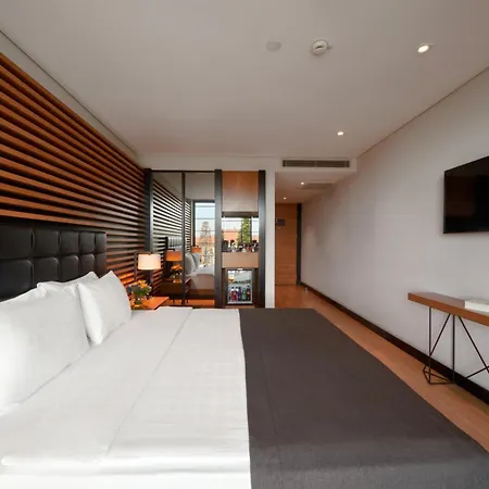 Metropolitan Bosphorus - Special Category 4* Istanbulská provincie